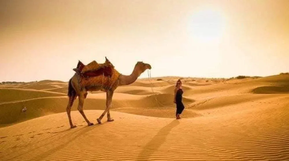 Camel safari in Pushkar desert Rajasthan